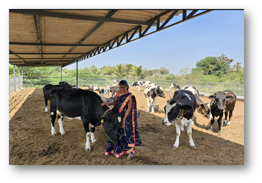 Abbott’s 'Project Ksheersagar:' Empowering Indian Dairy Farmers and Supporting the Local Milk Supply